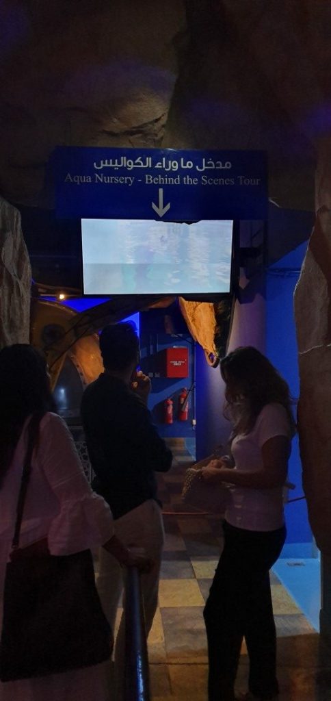 Behind the scenes tour – Explorer Experience at The Dubai Aquariumc